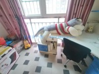 其它图